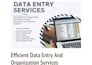 be your virtual assistant for data entry and admin tasks